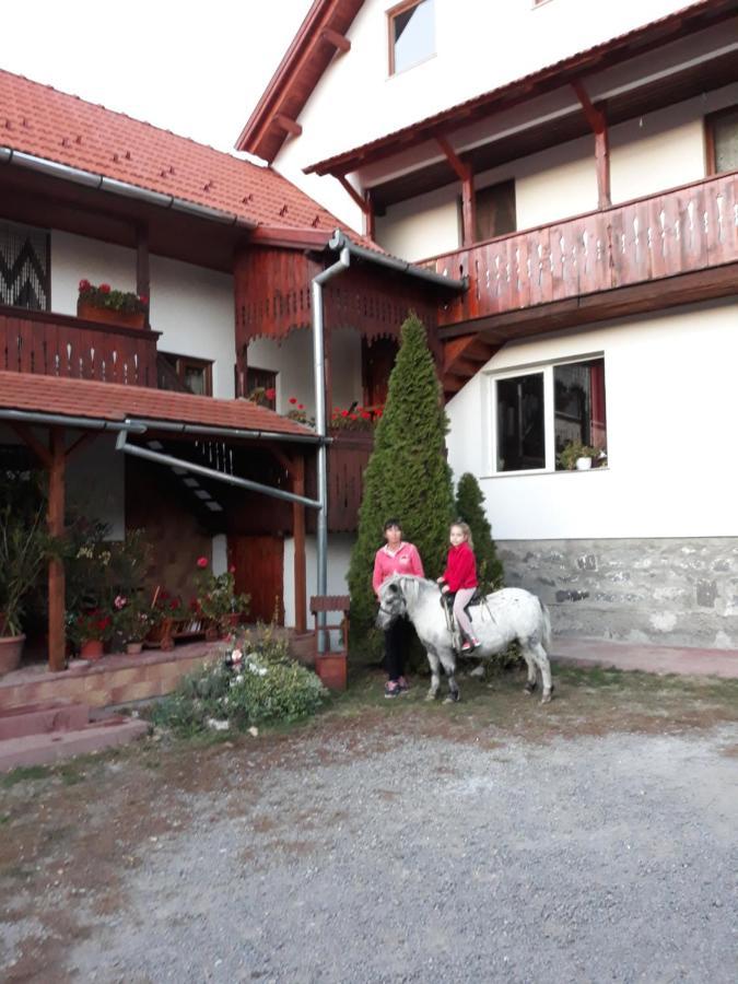 プライド Molnar Vendeghaz Bed & Breakfast エクステリア 写真