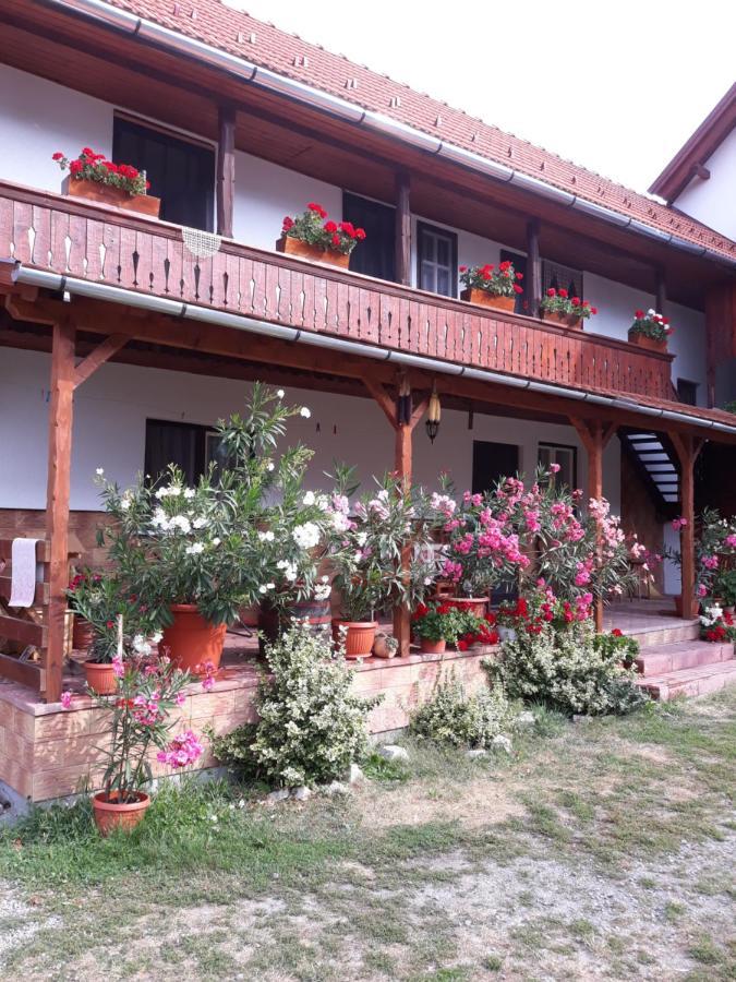 プライド Molnar Vendeghaz Bed & Breakfast エクステリア 写真